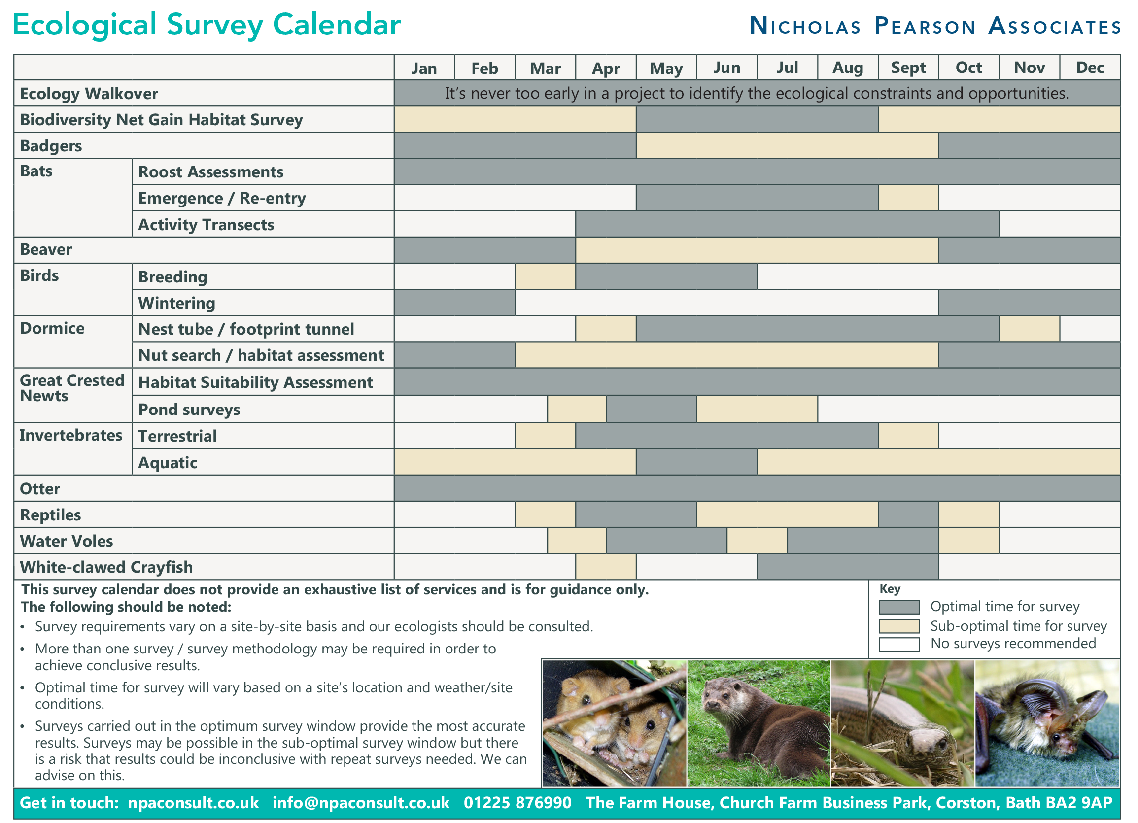 Ecology Survey Calendar Calendar showing seasonal timelines for different ecology surveys