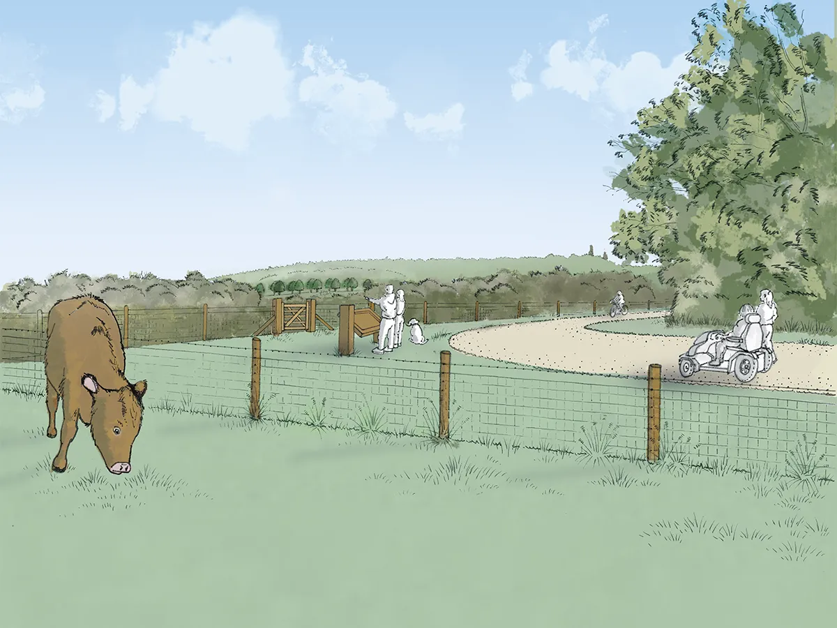 Illustration of the proposed trails shown alongside grazing cows