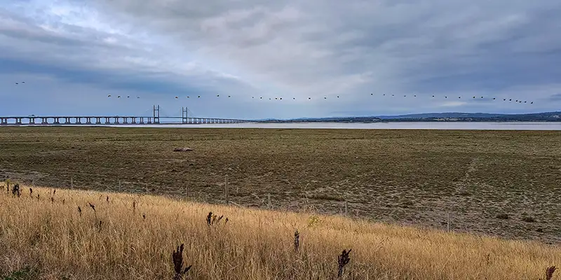 NPA ASEA completion news birds flying over the Severn Estuary NPA ASEA completion news birds flying over the Severn Estuary