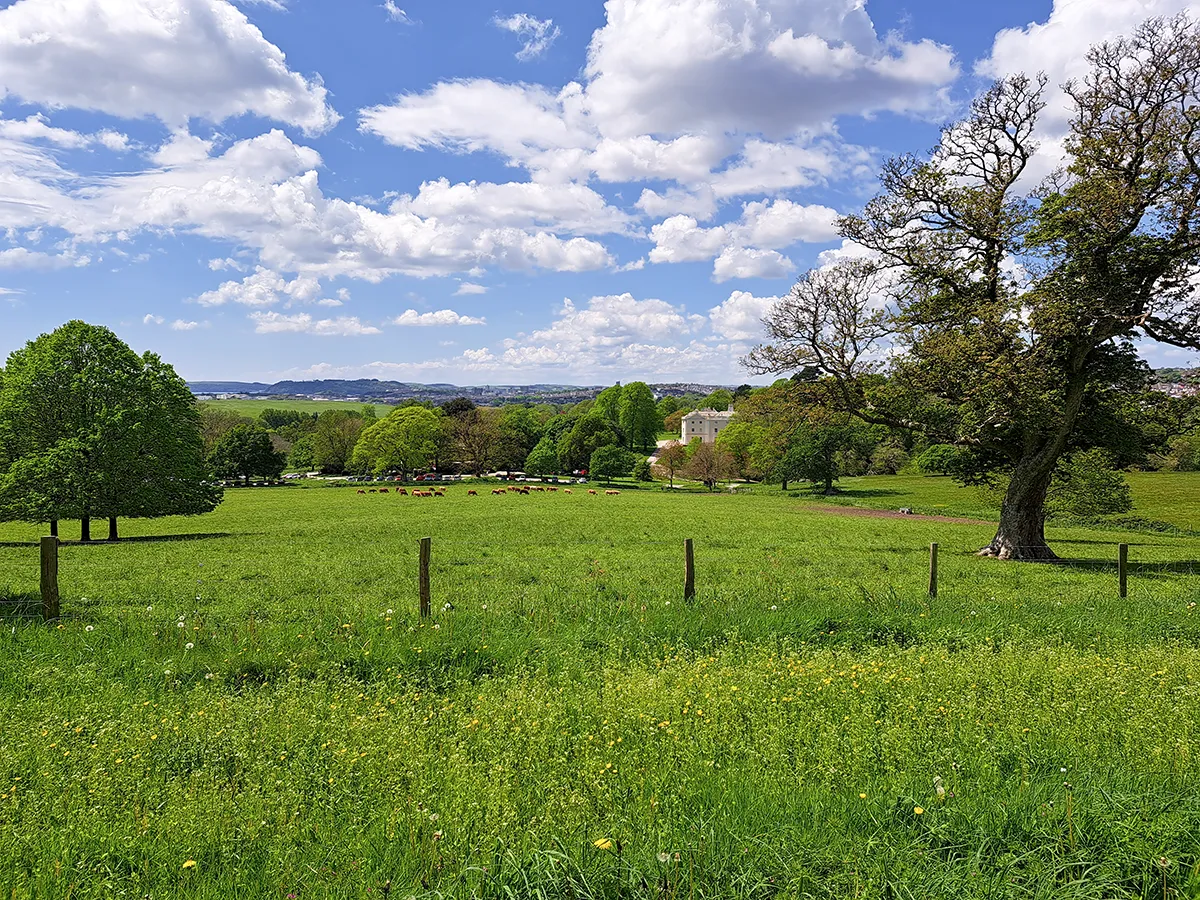 Photo of Saltram Estate looking at Saltram House and historic parkland setting Photo of Saltram Estate looking at Saltram House and historic parkland setting