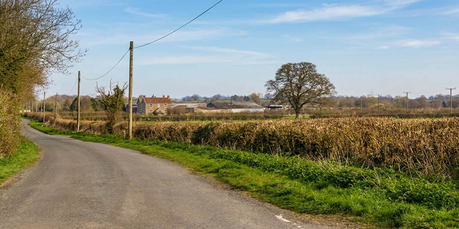 Moat Farm Mid distant view