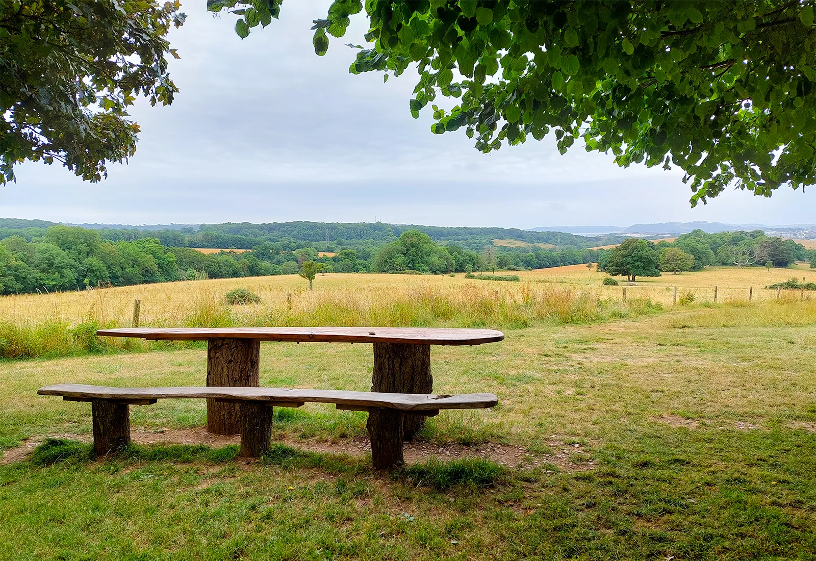 A view of Saltram Park A photo of a bench with Saltram Park in the background
