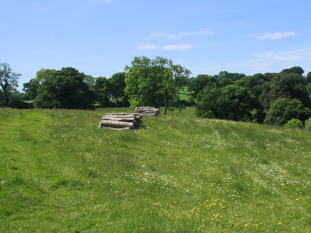 Stacked timber within meadow and woodland at Fyne Court estate